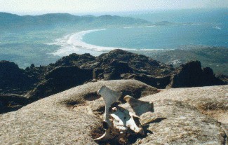 viajes_costa_da_morte_praia_carnota_dende_monte_o_pindo