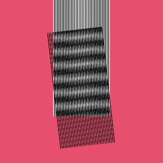 HOT CHIP - Why Make Sense (320x320)